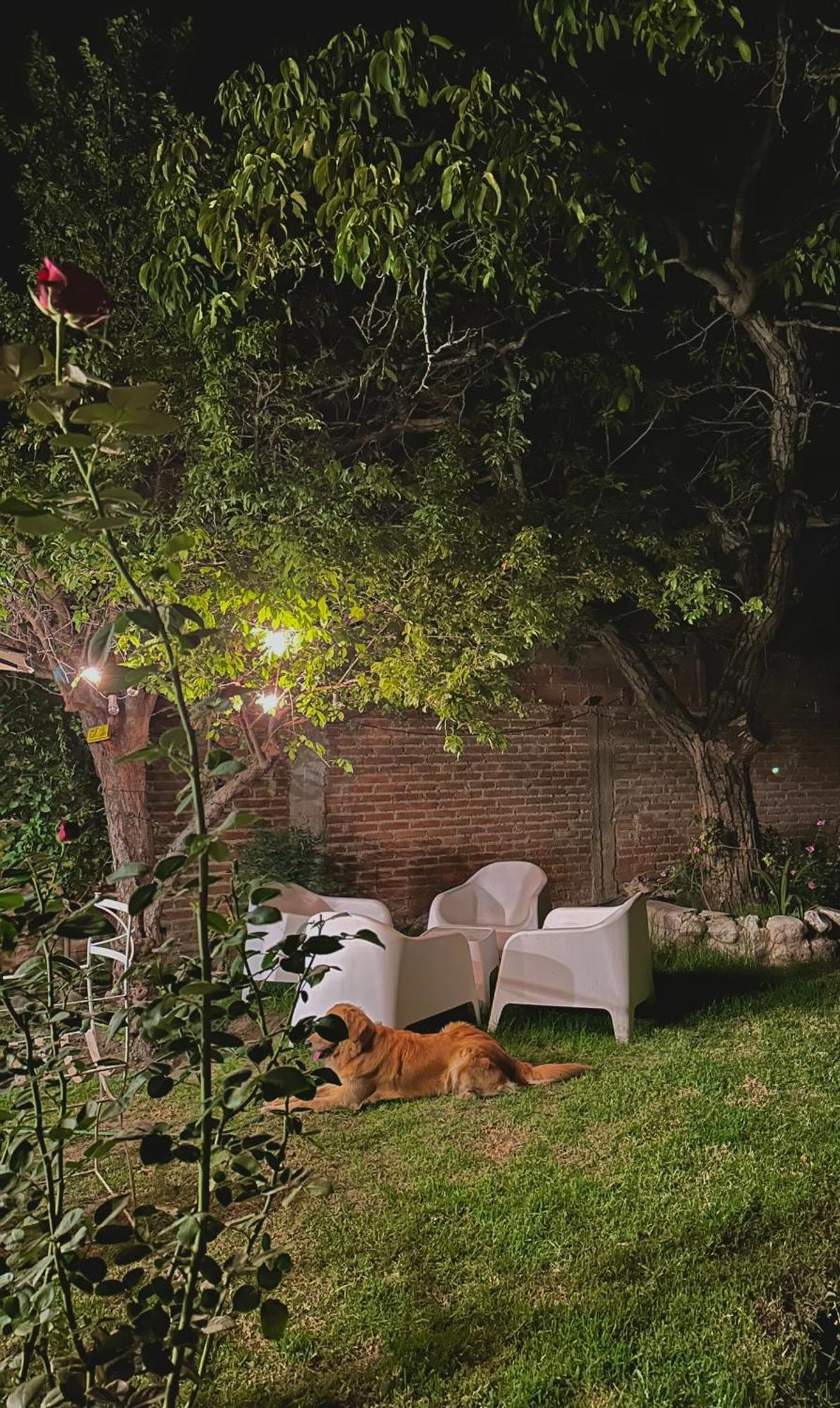 Casa Los Nogales Villa Cafayate Exterior photo
